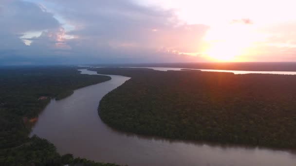 Sobrevolando Río Mana Guiana Surinam Durante Atardecer Bosque Amazónico — Vídeos de Stock