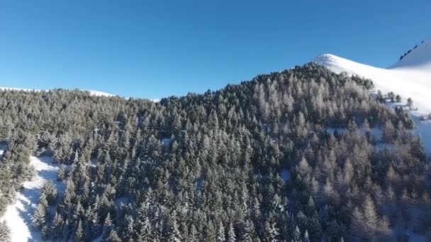 Bir Dağın Yamacında Karlı Ormanların Üzerinde Uçarken Güneşli Bir Vadi — Stok video