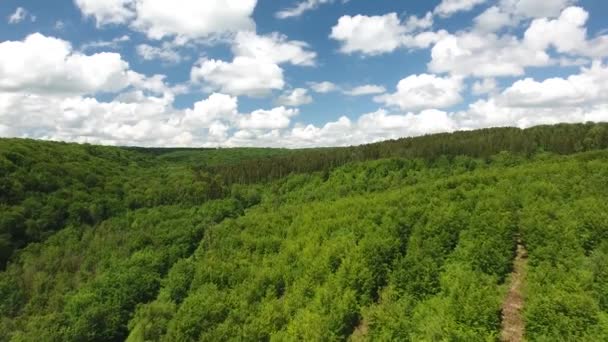 Létání Nad Verdun Les Krásná Modrá Obloha Bílé Mraky Světová — Stock video