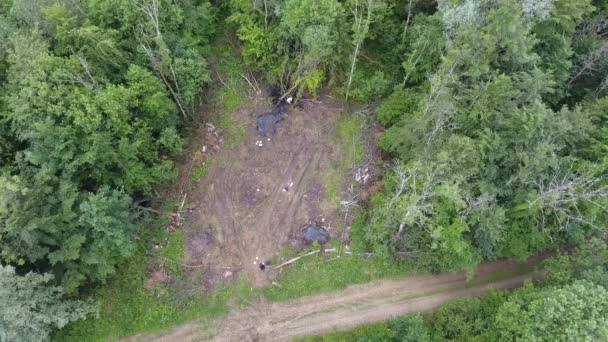 Trabalhadores Florestais Verdun Floresta Lorena França Drone Vista — Vídeo de Stock