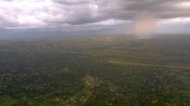 Salguiana Amazon Parkı 'ndaki yağmur ormanlarının üzerine sağanak yağış yağıyor. 