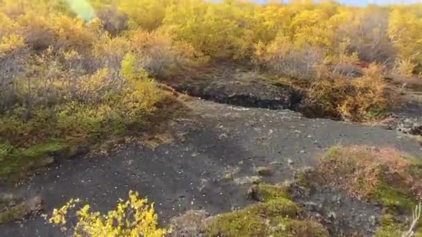 Island Utomhus Landskap Små Träd Och Lavamossa Automn Säsong Drönare — Stockvideo