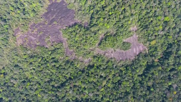 Inselberg Roche Savane Virginie Luftbild Vertikal Amazonia Guiana Drohne — Stockvideo