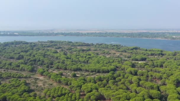 Lago Ponant Pinheiro Floresta Aérea Tiro Grau Roi França — Vídeo de Stock