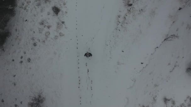 Uomo Nella Neve Selfie Drone Vista Verticale Meteo Nevoso — Video Stock