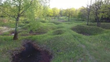 Eski kabuk delikleri otla kaplı ve drone verdun ormanları tarafından suyla dolu.