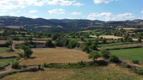 混合木地や牧草地の袋空撮晴れた日の農業風景フランス — ストック動画