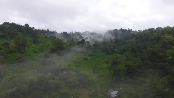 Misty Morning Aerial Flight Primary Tropical Rainforest Village Sal — Stock Video