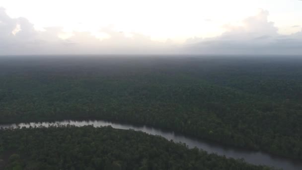 Frontera Del Río Oiapoque Entre Guayana Francesa Brasil Vista Aérea — Vídeo de stock