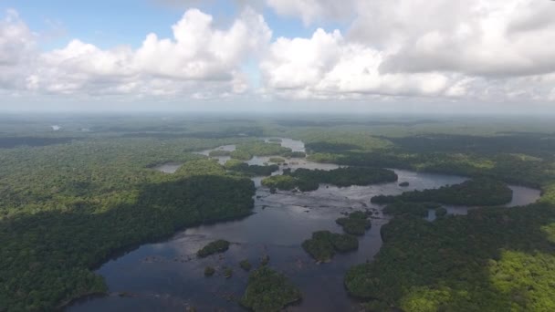 Rio Oiapoque Através Floresta Amazônica Por Drone Guiana Brasil — Vídeo de Stock