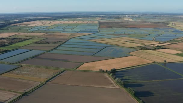Reisfelder Bunte Luftaufnahme Frankreich Gard Reis Der Camargue — Stockvideo