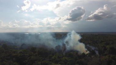 Guiana 'da tarımı yakıp kül et. Duman bulutu üzerinden İHA ile yakın çekim.
