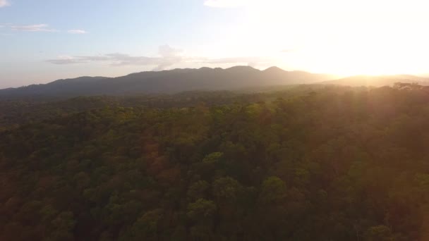 Paysage Forêt Tropicale Avec Coucher Soleil Par Drone Guyane Amazonienne — Video
