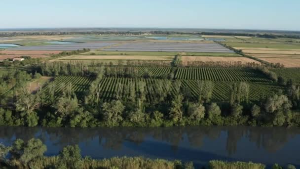 River Vineyard Fields Paddy Rice Fields Aerial Shot France Camargue — Stock Video