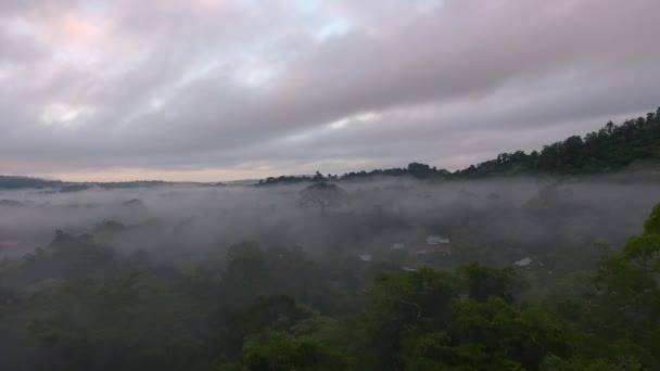 Sabahın Erken Saatlerinde Hava Manzarası Sisli Mistik Fransız Guiana Amazon — Stok video