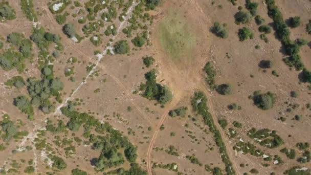 Scrubland Causse Aveyron Lozere Luchtfoto Van Gieren Vliegen Een Veld — Stockvideo