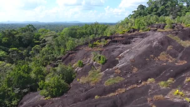 Savane Roche Virginie Inselberg Ecosystem Guiana Rain Forest Drone — стоковое видео