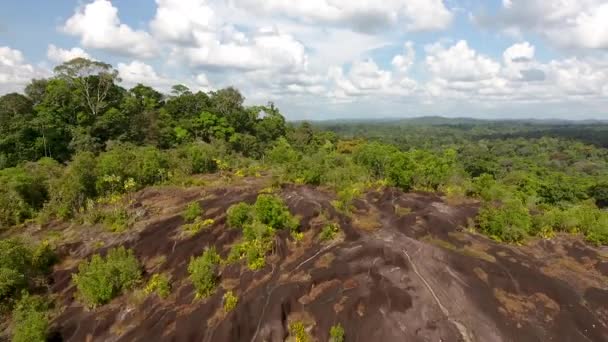 Savane Roche Virginie Inselberg Guiana Amazonian Forest Guiana Drone — стоковое видео