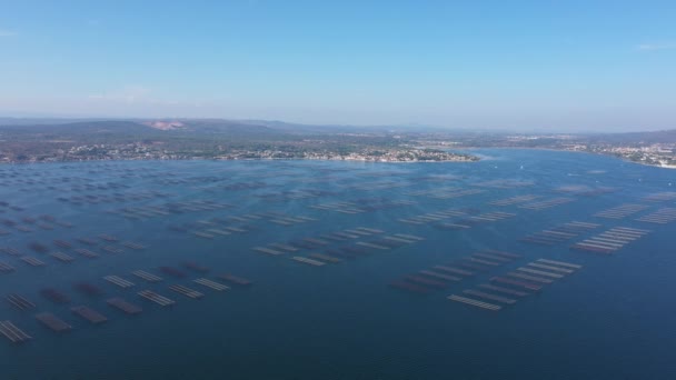 Sete Mont Santo Clair Ostras Fazendas Aérea Tiro Dia Ensolarado — Vídeo de Stock