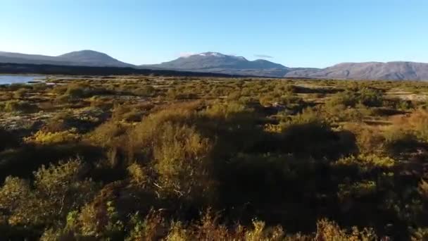 Thingvellir Lac Iceland Paysage Aérien Silfra Journée Ensoleillée — Video