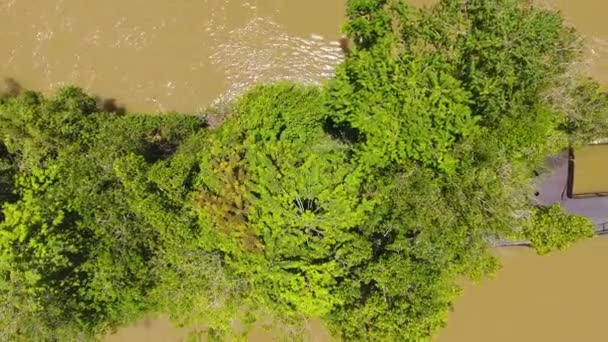 Vista Vertical Del Dron Naufragio Cubierto Vegetación Río Francés Guyana — Vídeos de Stock