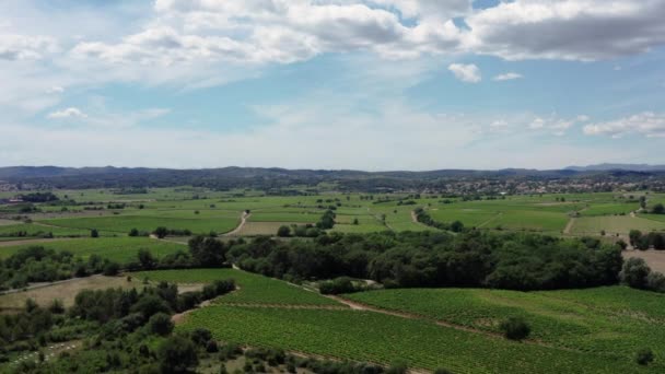 Viñedos Cielo Azul Con Nubes Sur Francia Tiro Aéreo — Vídeos de Stock