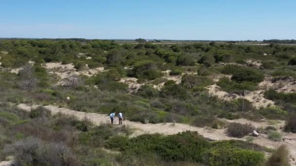 Umwelthelferinnen Sammeln Müll Sanddünen Auf Mittelmeerküste Luftdrohne Schoss Sonnigem Tag — Stockvideo