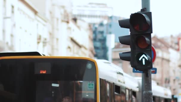 街の中の信号 — ストック動画