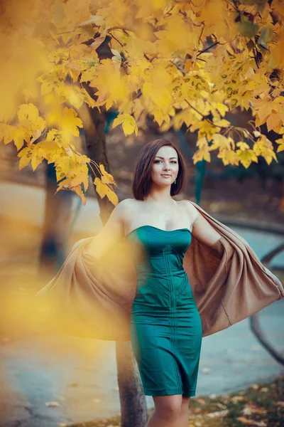 Mujer caminando en el parque de otoño — Foto de Stock