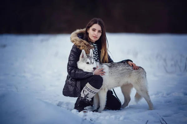 Excursionista femenina con perro husky siberiano —  Fotos de Stock