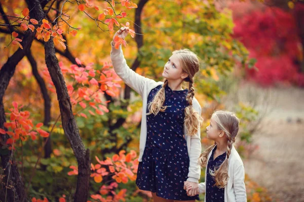 Zusters wandelen in het park — Stockfoto