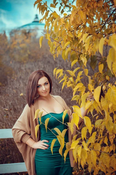 Woman posing near yellow trees — Stock Photo, Image