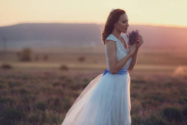 Novia en campo de lavanda —  Fotos de Stock