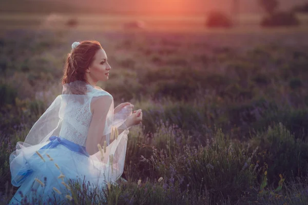 Bruid in Lavendel veld — Stockfoto