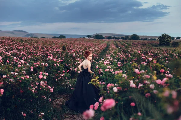 Donna in posa in campo rose — Foto Stock