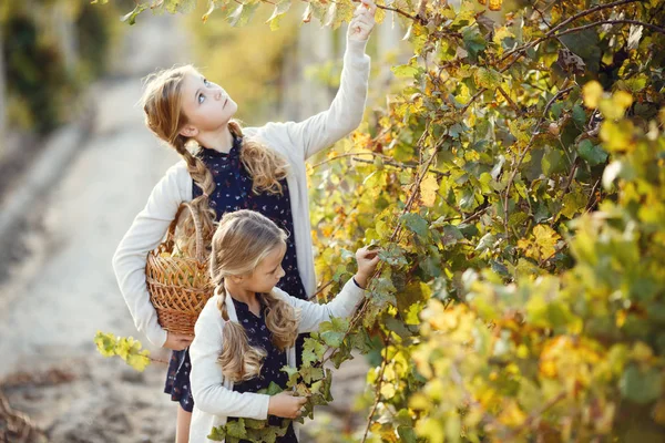 Meninas com uvas ao ar livre — Fotografia de Stock