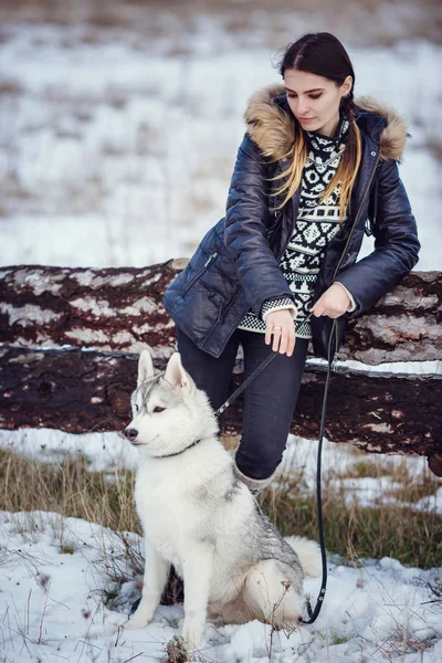 Excursionista femenina con perro husky siberiano — Foto de Stock