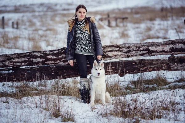 シベリアン ハスキー犬と女性ハイカー — ストック写真