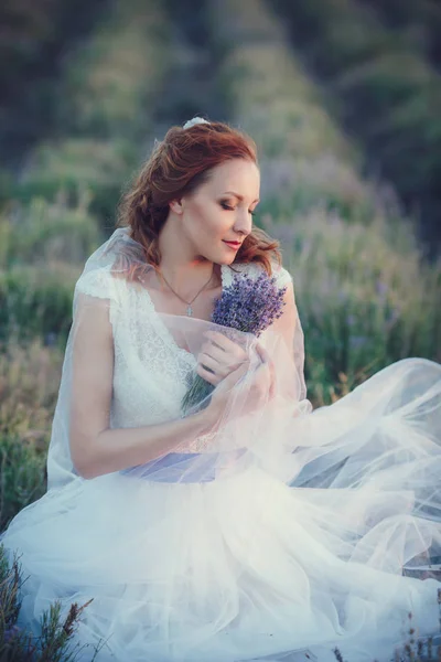 Novia en campo de lavanda —  Fotos de Stock