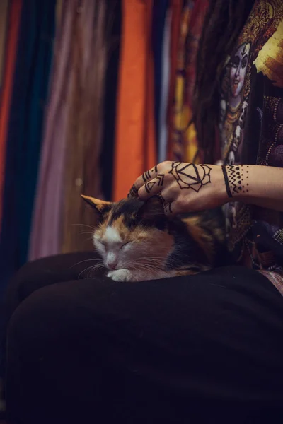 Стильная девушка с котом в руках — стоковое фото