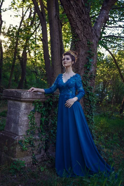 Mulher em vestido azul com coroa — Fotografia de Stock