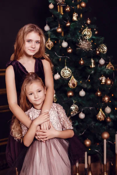 Sisters posing in front of fir-tree — Stock Photo, Image