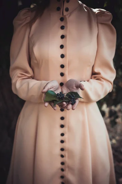 Kobieta ręce gospodarstwa liści — Zdjęcie stockowe