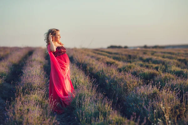 Mulher grávida no campo de lavanda — Fotografia de Stock