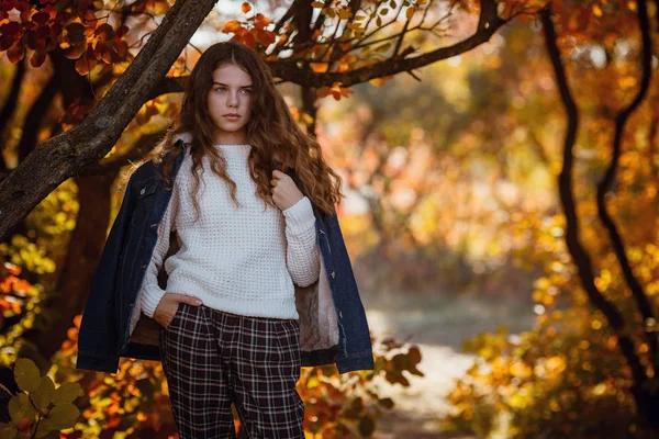 Retrato de outono de menina caucasiana linda e bonita feliz na floresta em cores de outono . — Fotografia de Stock