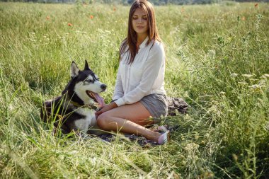 Güzel, genç bir kadın parkta komik, iri köpekle oynuyor. Yaz ve gün batımı. Koşulsuz sevgi. Sibirya Husky 'sinin en sevdiği hayvan. Hayvan yetiştiriciliği. Soylu köpek konsepti. En iyi arkadaşlar.