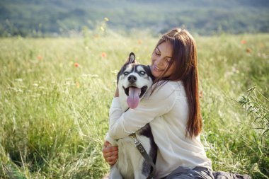 Güzel, genç bir kadın parkta komik, iri köpekle oynuyor. Yaz ve gün batımı. Koşulsuz sevgi. Sibirya Husky 'sinin en sevdiği hayvan. Hayvan yetiştiriciliği. Soylu köpek konsepti. En iyi arkadaşlar.