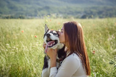 Güzel, genç bir kadın parkta komik, iri köpekle oynuyor. Yaz ve gün batımı. Koşulsuz sevgi. Sibirya Husky 'sinin en sevdiği hayvan. Hayvan yetiştiriciliği. Soylu köpek konsepti. En iyi arkadaşlar.