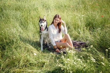 Güzel, genç bir kadın parkta komik, iri köpekle oynuyor. Yaz ve gün batımı. Koşulsuz sevgi. Sibirya Husky 'sinin en sevdiği hayvan. Hayvan yetiştiriciliği. Soylu köpek konsepti. En iyi arkadaşlar.