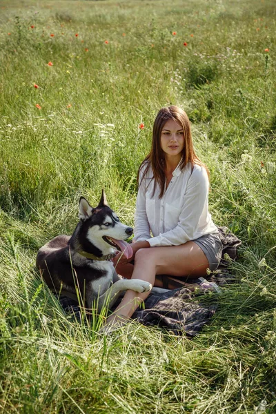 Schöne Junge Frau Spielt Mit Lustigem Husky Hund Park Sommerzeit — Stockfoto